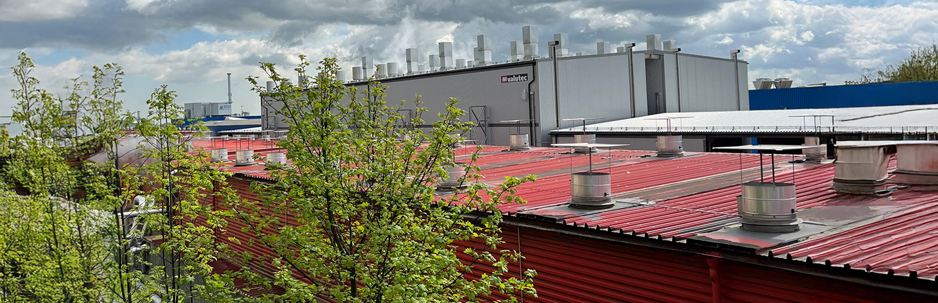 Mercer Timber Products | Valutec