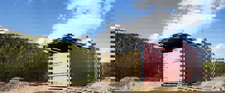 Virkestork med skog i bakgrunden.